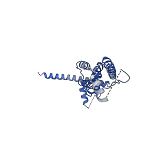 21143_6vam_D_v1-3
Cryo-EM structure of octameric chicken CALHM1
