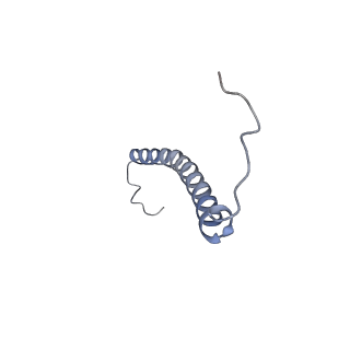 31835_7va9_C_v1-0
Rba sphaeroides PufY-KO RC-LH1 dimer type-1