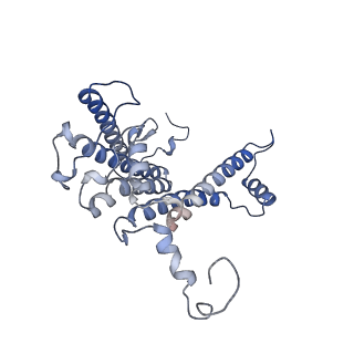 31835_7va9_L_v1-0
Rba sphaeroides PufY-KO RC-LH1 dimer type-1
