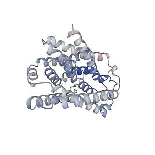 31837_7vad_A_v1-3
Cryo-EM structure of human NTCP complexed with YN69202Fab