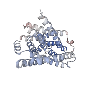 31838_7vae_A_v1-3
Cryo-EM structure of bovine NTCP complexed with YN69202Fab