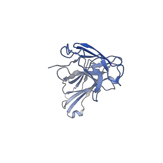31840_7vag_L_v1-3
Cryo-EM structure of human NTCP complexed with YN69202Fab in the presence of myristoylated preS1 peptide