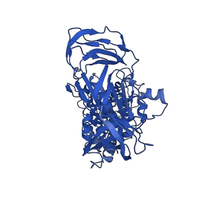 31842_7vai_C_v1-0
V1EG of V/A-ATPase from Thermus thermophilus, state1-1