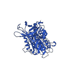 31842_7vai_D_v1-0
V1EG of V/A-ATPase from Thermus thermophilus, state1-1