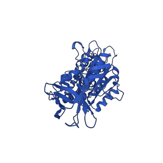 31842_7vai_E_v1-0
V1EG of V/A-ATPase from Thermus thermophilus, state1-1