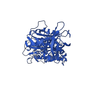 31842_7vai_F_v1-0
V1EG of V/A-ATPase from Thermus thermophilus, state1-1