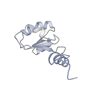 31842_7vai_H_v1-0
V1EG of V/A-ATPase from Thermus thermophilus, state1-1