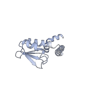31842_7vai_J_v1-0
V1EG of V/A-ATPase from Thermus thermophilus, state1-1