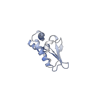 31842_7vai_L_v1-0
V1EG of V/A-ATPase from Thermus thermophilus, state1-1