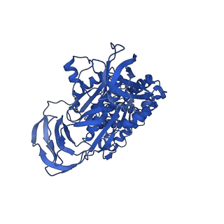 31843_7vaj_A_v1-0
Nucleotide-free V1EG domain of V/A-ATPase from Thermus thermophilus, state1-2