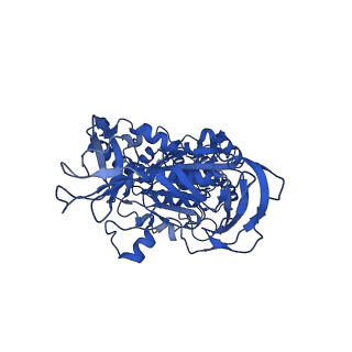 31843_7vaj_B_v1-0
Nucleotide-free V1EG domain of V/A-ATPase from Thermus thermophilus, state1-2