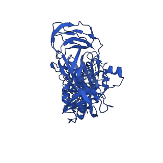 31843_7vaj_C_v1-0
Nucleotide-free V1EG domain of V/A-ATPase from Thermus thermophilus, state1-2