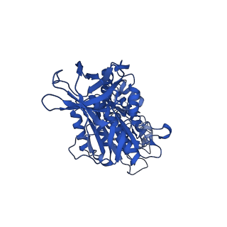 31843_7vaj_D_v1-0
Nucleotide-free V1EG domain of V/A-ATPase from Thermus thermophilus, state1-2