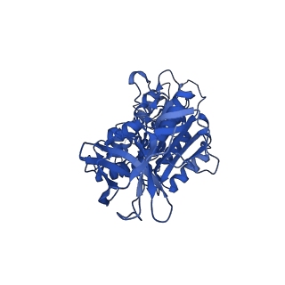31843_7vaj_E_v1-0
Nucleotide-free V1EG domain of V/A-ATPase from Thermus thermophilus, state1-2