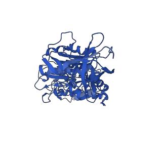 31843_7vaj_F_v1-0
Nucleotide-free V1EG domain of V/A-ATPase from Thermus thermophilus, state1-2
