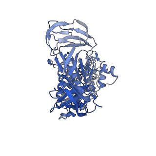 31845_7vak_A_v1-0
Nucleotide-free V1EG domain of V/A-ATPase from Thermus thermophilus, state2