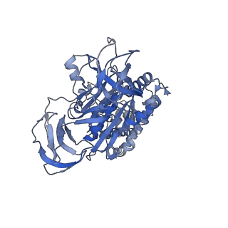 31845_7vak_B_v1-0
Nucleotide-free V1EG domain of V/A-ATPase from Thermus thermophilus, state2