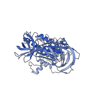 31845_7vak_C_v1-0
Nucleotide-free V1EG domain of V/A-ATPase from Thermus thermophilus, state2