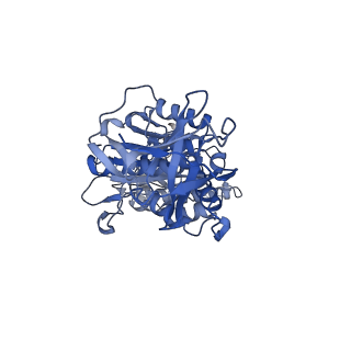 31845_7vak_D_v1-0
Nucleotide-free V1EG domain of V/A-ATPase from Thermus thermophilus, state2