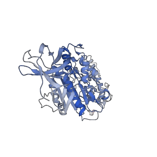 31845_7vak_E_v1-0
Nucleotide-free V1EG domain of V/A-ATPase from Thermus thermophilus, state2