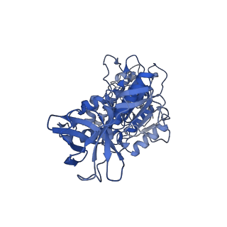 31845_7vak_F_v1-0
Nucleotide-free V1EG domain of V/A-ATPase from Thermus thermophilus, state2