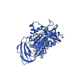 31849_7val_B_v1-0
V1EG of V/A-ATPase from Thermus thermophilus, high ATP, state1-1