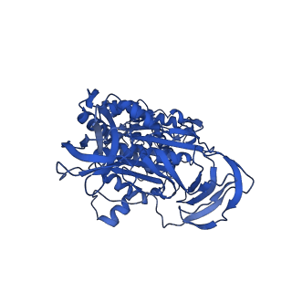 31849_7val_C_v1-0
V1EG of V/A-ATPase from Thermus thermophilus, high ATP, state1-1