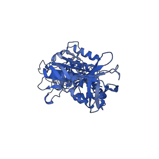 31849_7val_D_v1-0
V1EG of V/A-ATPase from Thermus thermophilus, high ATP, state1-1
