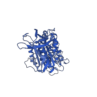 31849_7val_E_v1-0
V1EG of V/A-ATPase from Thermus thermophilus, high ATP, state1-1