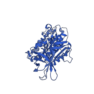 31849_7val_F_v1-0
V1EG of V/A-ATPase from Thermus thermophilus, high ATP, state1-1