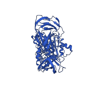 31850_7vam_A_v1-0
V1EG of V/A-ATPase from Thermus thermophilus, high ATP, state1-2
