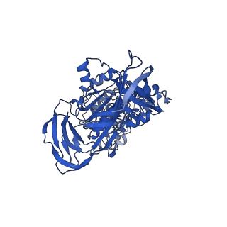 31850_7vam_B_v1-0
V1EG of V/A-ATPase from Thermus thermophilus, high ATP, state1-2