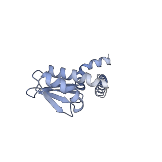 31850_7vam_L_v1-0
V1EG of V/A-ATPase from Thermus thermophilus, high ATP, state1-2