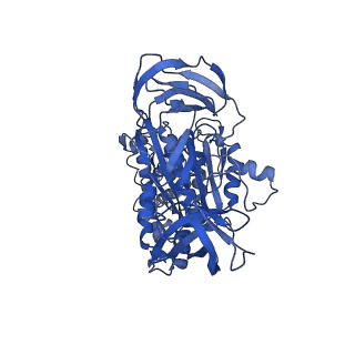 31853_7van_A_v1-0
V1EG of V/A-ATPase from Thermus thermophilus, high ATP, state2-1