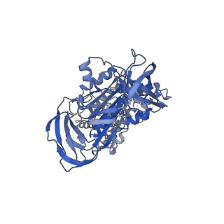 31853_7van_B_v1-0
V1EG of V/A-ATPase from Thermus thermophilus, high ATP, state2-1