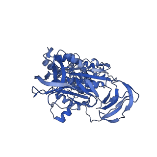 31853_7van_C_v1-0
V1EG of V/A-ATPase from Thermus thermophilus, high ATP, state2-1