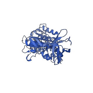 31853_7van_D_v1-0
V1EG of V/A-ATPase from Thermus thermophilus, high ATP, state2-1