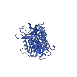31853_7van_E_v1-0
V1EG of V/A-ATPase from Thermus thermophilus, high ATP, state2-1