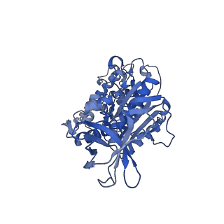 31853_7van_F_v1-0
V1EG of V/A-ATPase from Thermus thermophilus, high ATP, state2-1