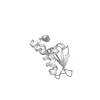 31853_7van_L_v1-0
V1EG of V/A-ATPase from Thermus thermophilus, high ATP, state2-1