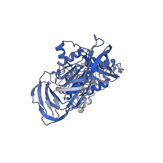 31854_7vao_B_v1-0
V1EG of V/A-ATPase from Thermus thermophilus, high ATP, state2-2