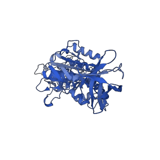 31854_7vao_D_v1-0
V1EG of V/A-ATPase from Thermus thermophilus, high ATP, state2-2