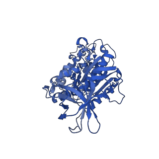 31854_7vao_F_v1-0
V1EG of V/A-ATPase from Thermus thermophilus, high ATP, state2-2