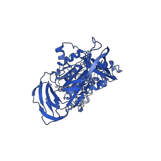31857_7vap_B_v1-0
V1EG of V/A-ATPase from Thermus thermophilus, high ATP, state2-2