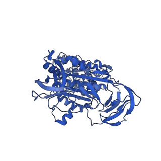 31857_7vap_C_v1-0
V1EG of V/A-ATPase from Thermus thermophilus, high ATP, state2-2