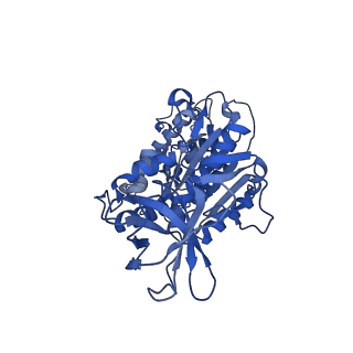 31857_7vap_F_v1-0
V1EG of V/A-ATPase from Thermus thermophilus, high ATP, state2-2