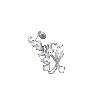 31857_7vap_J_v1-0
V1EG of V/A-ATPase from Thermus thermophilus, high ATP, state2-2