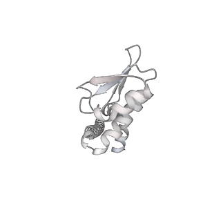 31857_7vap_L_v1-0
V1EG of V/A-ATPase from Thermus thermophilus, high ATP, state2-2