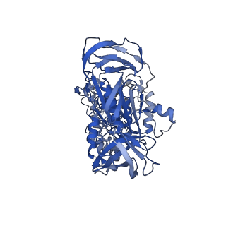 31858_7vaq_A_v1-0
V1EG of V/A-ATPase from Thermus thermophilus, high ATP, state3-2