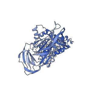 31858_7vaq_B_v1-0
V1EG of V/A-ATPase from Thermus thermophilus, high ATP, state3-2